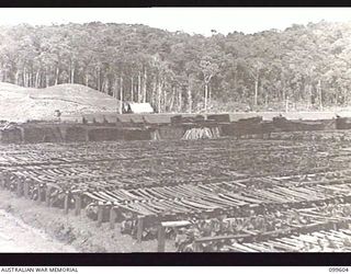 AIYURA, NEW GUINEA, 1946-01-09. NURSERY BEDS IN VARIOUS STAGES OF DEVELOPMENT AT THE KUMINERKERA BLOCK, AUSTRALIAN NEW GUINEA ADMINISTRATIVE UNIT EXPERIMENTAL STATION. GERMINATOR BEDS AND TERRACING ..