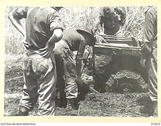 KESAWAI, RAMU VALLEY, NEW GUINEA, 1944-03-05. MEMBERS OF THE 2/12TH INFANTRY BATTALION ATTEMPTING TO MOVE A JEEP BOGGED IN THICK MUD NEAR KESAWAI. THE SLIGHTEST RAIN MAKES THESE TRACKS USELESS FOR ..