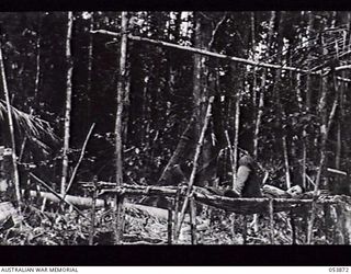 BULLDOG BASE, NEW GUINEA. 1943-07-07. A DESERTED ENGINEERS' CAMP OF HEADQUARTERS, ROYAL AUSTRALIAN ENGINEERS, 11TH AUSTRALIAN DIVISION, ALONG THE TRAMLINE ROUTE. SX2663 SERGEANT E. E. SMITH, ..