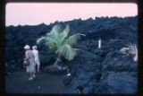 Kumakahi Point Lighthouse surrounded by lava flow of February 1960