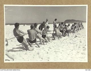 NOBBYS BEACH, QLD. 1943-12-04. TROOPS OF THE 2/6TH AUSTRALIAN ARMOURED REGIMENT, RECUPERATING AFTER SERVICE IN NEW GUINEA, ENJOY A TUG-OF-WAR CONTEST AT NOBBY'S BEACH, BURLEIGH HEADS. SHOWN ARE: ..