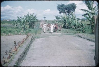 The road near Banz : Wahgi Valley, Papua New Guinea, 1954 and 1955 / Terence and Margaret Spencer