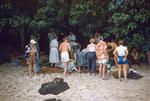 Group of people on a beach