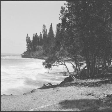 Isle of Pines, New Caledonia, 1967 / Michael Terry