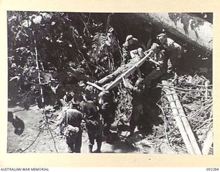 BOUGAINVILLE. 1945-05-17. PRIVATE M.H. PRATT, C COMPANY, 57/60 INFANTRY BATTALION (1), A BATTLE CASUALTY, BEING LOWERED DOWN THE STEEP BANKS OF THE HUDA RIVER ON A STRETCHER DURING THE ADVANCE BY ..