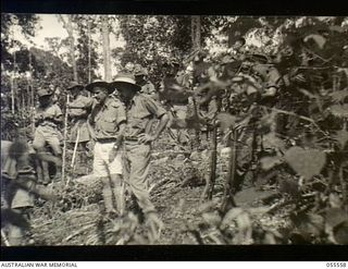 Donadabu, New Guinea. 1943-07-26. Members of 7 Platoon, A Company, 61st Battalion, watching a supply dropping exercise