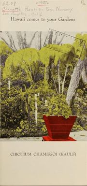 Hawaii comes to your gardens : Cibotium chamissoi (kaulf)
