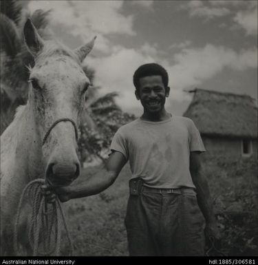 Farmer and horse