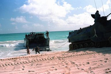 A 3rd Marine Amphibious Assault Company personnel tracked landing vehicle (LVTP7) is used to tow an M151 light utility vehicle onto the beach during Operation KERNAL BLITZ. The M151 was offloaded from a mechanized landing craft (LCM Mark 8)