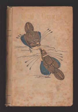 New Guinea : what I did and what I saw / by L.M. D'Albertis.