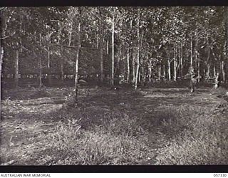 DONADABU, NEW GUINEA. 1943-09-29. GENERAL VIEW OF PART OF HEADQUARTERS, 11TH AUSTRALIAN DIVISION