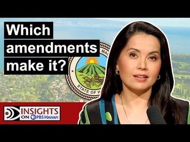 Maui Charter Commission | INSIGHTS ON PBS HAWAIʻI