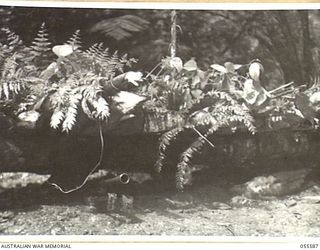 GOODVIEW, NEW GUINEA, 1943-08-07. BRIGADE DEFENCE PILLBOX COVERING THE GOODVIEW TRACK AT THE 17TH AUSTRALIAN INFANTRY BRIGADE HEADQUARTERS, IN THE GOODVIEW MOUNT TAMBU AREA ON THE MUBO-KOMIATUM ..