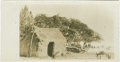 Old Hawaii grass house at Outrigger Club