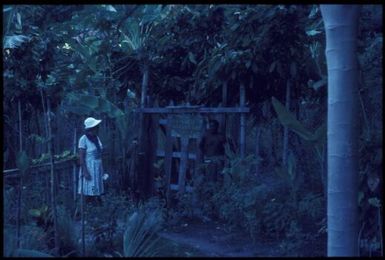 The entrance to a Japanese wartime tunnel : Rabaul, New Britain, Papua New Guinea, 1971 / Terence and Margaret Spencer