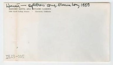 [Spitter cone in Hawaii, envelope IE23-005]