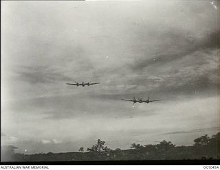 KIRIWINA, TROBRIAND ISLANDS, PAPUA. C. 1944-03. TWO AIRCRAFT OF NO. 30 (BEAUFIGHTER) SQUADRON RAAF DIVING TO LOW LEVEL STRAFING POSITION