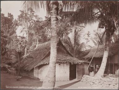 A house in the village of Maravovo, Guadalcanar, Solomon Islands, 1906, 2 / J.W. Beattie