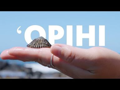 Restoring ʻOpihi | PBS HAWAIʻI