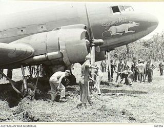 UNITED STATES TROOPS OF THE 32ND UNITED STATES DIVISION DIGGING OUT THE LANDING GEAR OF THE "SWAMP RAT", A DOUGLAS C47 AIRCRAFT OF THE UNITED STATES 5TH AIR FORCE, WHICH BECAME BOGGED IN THE SOFT ..