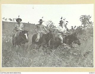 PORT MORESBY, PAPUA. 1942-07. THESE AUSTRALIAN INDEPENDENT LIGHT HORSE TROOP MEN ARE SERVING IN NEW GUINEA WHERE THEIR DUTIES INCLUDE CONSIDERABLE PATROL WORK, LEFT TO RIGHT:- DOUGLAS COCHRANE, ALF ..
