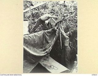 BOUGAINVILLE ISLAND, 1945-01-20. QX35894 CORPORAL E.L. GREGSON (1) AND Q41912 PRIVATE E.J. HASTING (2), "A" COMPANY, 42ND INFANTRY BATTALION PITCHING A CANVAS ROOF OVER THEIR FOXHOLE DURING THE ..