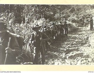 KETOBA, NEW GUINEA. 1944-01-29. 14TH PLATOON OF "C" COMPANY, 57/60TH INFANTRY BATTALION, ARE PICTURED MOV1NG IN SINGLE FILE THROUGH THICK JUNGLE COUNTRY. THE UNIT IS ADVANCING TOWARDS KISA AFTER ..
