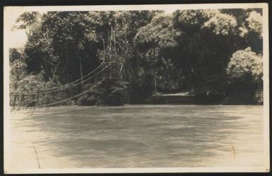 A native bridge over the Wahgi River, Central New Guinea, 1933