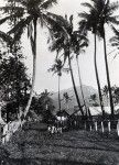 A path in the village of Saint-Louis tribe