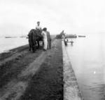 Falehau wharf. 'Ailini's daughters with saaliote; preparing to take coconut seedlings by water to Ngatu's ('Ailine's eldest son) 'api. (Younger son, Vātau, standing on wharf by canoe.)