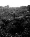 Grave of Hermann Diede, Guadalcanal, 1940s