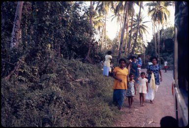 Roadside in Fiji, 1974