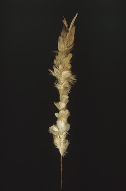 plume