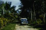 Road near Wewak, 1960?