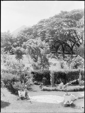 Square pots and curved steps, Chinnery's garden, Malaguna Road, Rabaul, New Guinea, ca. 1936 / Sarah Chinnery