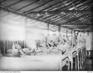 BOUGAINVILLE, 1945-06-18. (A GENERAL VIEW OF THE SURGICAL WARD, 109 CASUALTY CLEARING STATION)