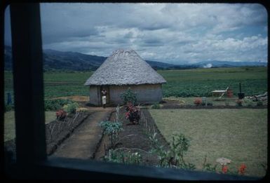 Haus boi (house boys) dwelling : Minj Station, Wahgi Valley, Papua New Guinea, 1954 / Terence and Margaret Spencer