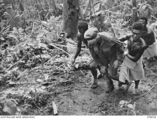 BOUGAINVILLE ISLAND. 1944-12-31. NATIVES ASSISTING SX30475 PRIVATE L.H. WRAY, 25TH INFANTRY BATTALION, BACK TO THE ARTILLERY HILL REGIMENTAL AID POST DURING THE AUSTRALIAN ATTACK ON JAPANESE ..