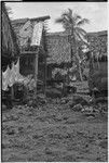 Tukwaukwa village on Kiriwina: houses
