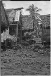 Tukwaukwa village on Kiriwina: houses