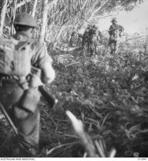 1942-12-28. PAPUA. THIS PHOTO WAS TAKEN DURING THE FIGHTING. THE TANKS CRASHED THROUGH A JAPANESE CHAIN OF HEAVILY FORTIFIED PILLBOXES. (NEGATIVE BY G. SILK)