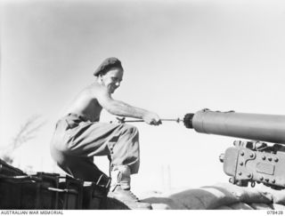 BOUGAINVILLE ISLAND. 1945-01-20. VX 136191 GUNNER SAMUEL NEWTON CHAPLIN HURLE OF THE 2ND FIELD REGIMENT, PULLING THE STEEL BRUSH CLEANER THROUGH ONE OF THE UNIT SHORT 25 POUNDERS AFTER A SHOOT