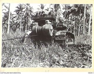 MADANG, NEW GUINEA. 1944-10. A D8 VEHICLE IN USE FOR TANK RECOVERY DURING EXERCISES AT HQ 4 ARMOURED BRIGADE. NOTE THE COCONUT STUMP ON THE LEFT BEING USED TO ANCHOR THE VEHICLE