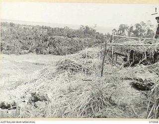 HANSA BAY AREA, NEW GUINEA. 1944-09-05. QX53202 CAPTAIN R.D. MCINNES (1) NO. 8 PLATOON, A COMPANY, 25TH INFANTRY BATTALION SURVEYING THE COVERING AREA FROM ONE OF THE TANK ATTACK GUN POSITIONS