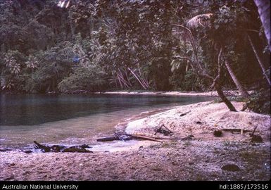 Stream bed mouth at SAD