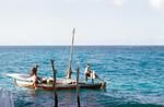 Tulula (gaff-rigged, locally built double ended lapstreak vessel) returning with harvest