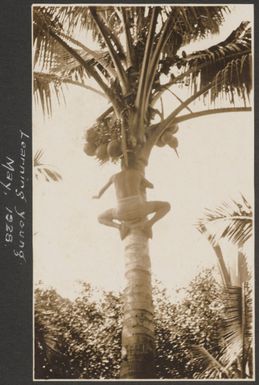 Tavua, Fiji, May 1928