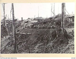 BERRY'S HILL, CENTRAL BOUGAINVILLE, 1945-06-27. MEMBERS OF 7 INFANTRY BATTALION WORKING ON THE ROAD BEING CONSTRUCTED ON BERRY'S HILL WHICH WILL ENABLE SUPPLIES TO BE EXPEDITED TO FORWARD TROOPS