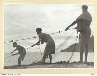 SALAMAUA, NEW GUINEA. 1944-06-02. NATIVES FROM A NEARBY VILLAGE ASSIST MEMBERS OF THE 2ND MARINE FOOD SUPPLY PLATOON TO HAUL A DRAGNET AT FRISCOE BEACH