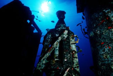 Underwater view of a barnacle encrusted portion of the submarine ex-USS BLUEGILL (SS 242) during Pacific Submarine Salvage Exercise 83 (PACSUBSALVEX-83) off the coast of Maui